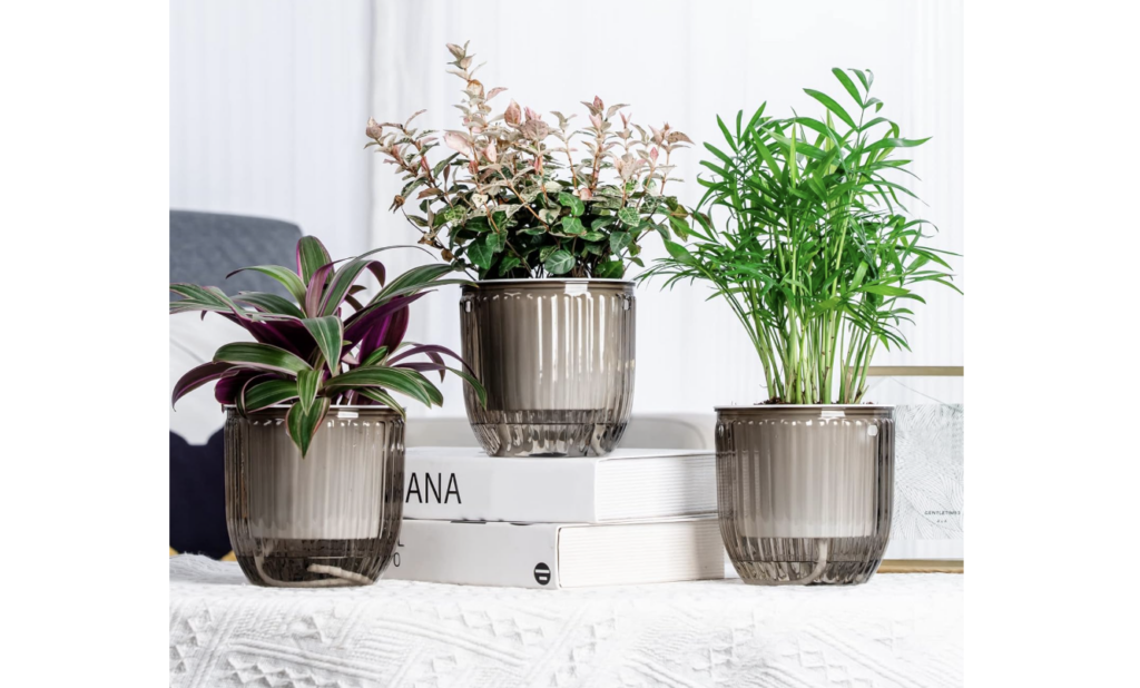 self watering mini planters, aquarius gifts